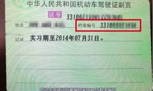 驾驶证档案编号查询系统_驾驶证档案编号在线查询